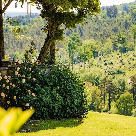 With Private Pool Large Garden And Playground *