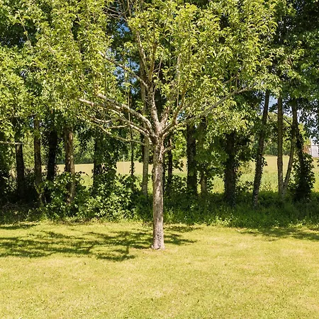 With Private Pool Large Garden And Playground